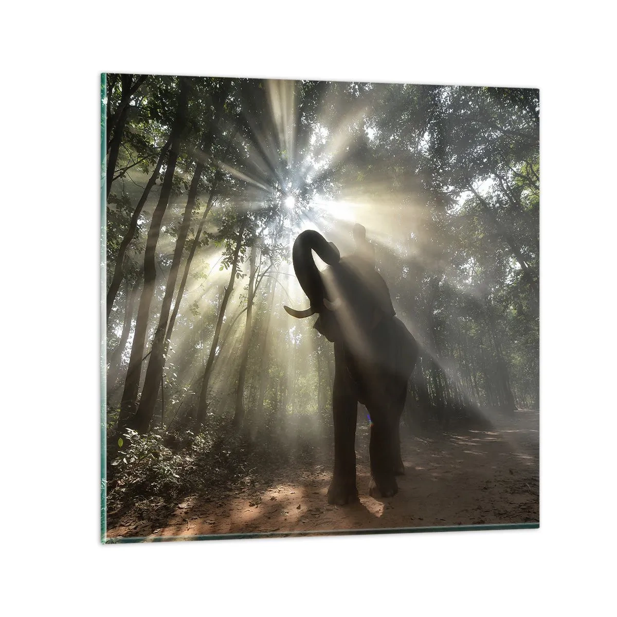 Schilderen op glas - Onder de gelukkige ster - 50x50 cm