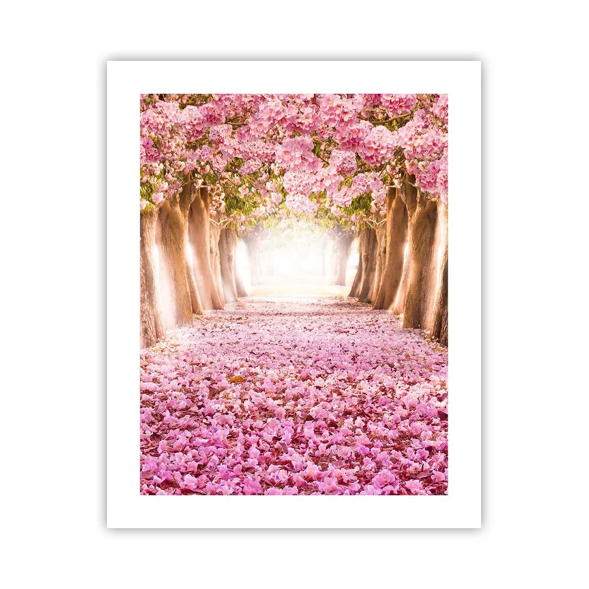 Poster - De weg naar het paradijs - 40x50 cm