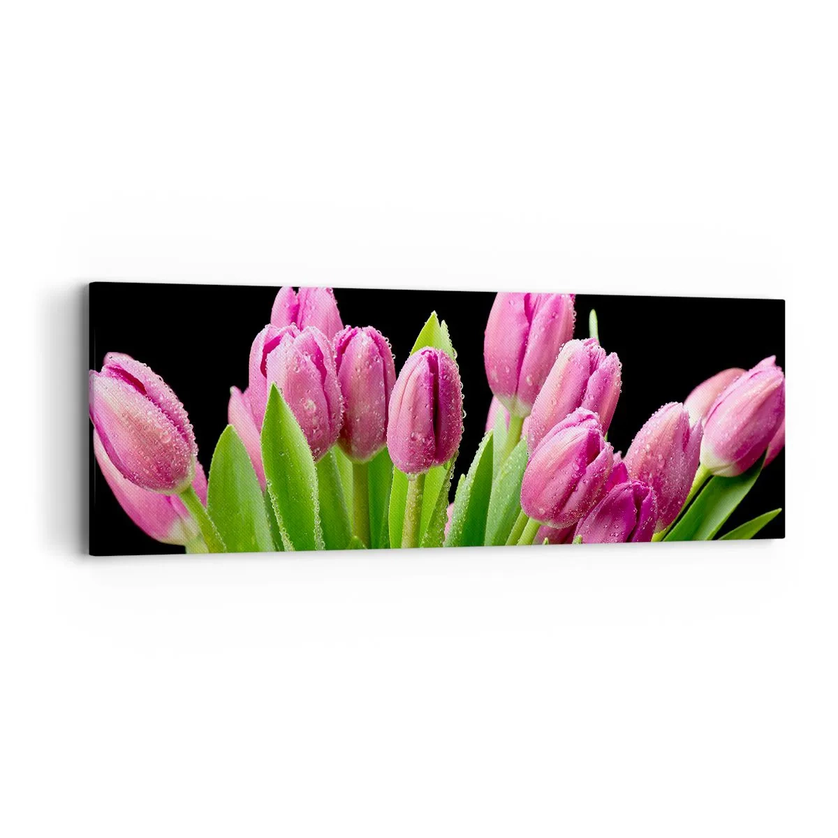 Schilderen op canvas - Lila vreugde van de lente - 90x30 cm