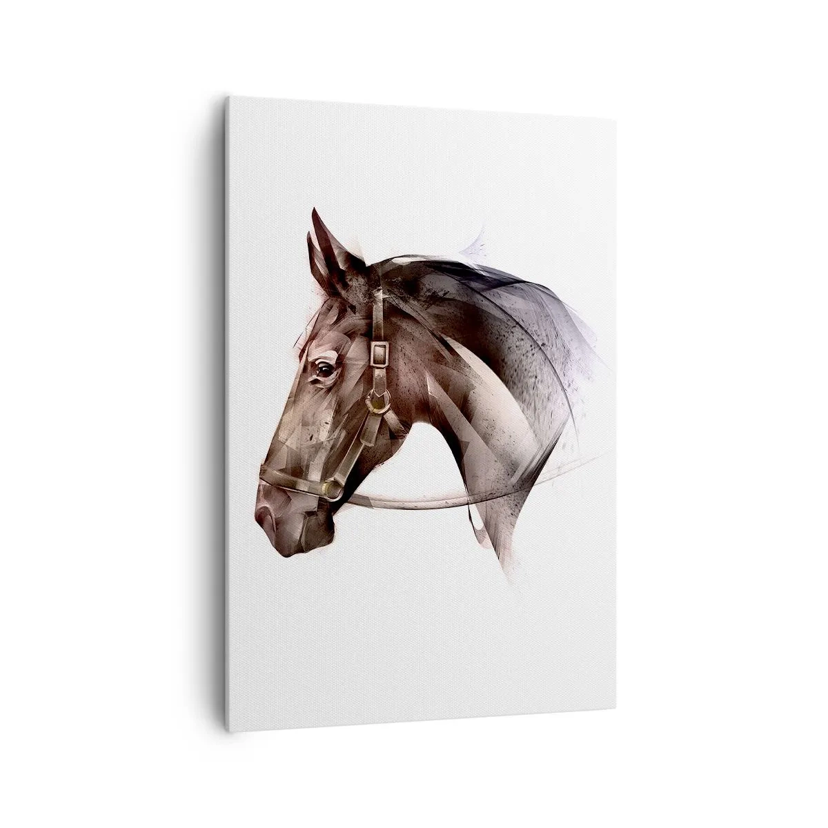 Schilderen op canvas - Wat een charme - 70x100 cm