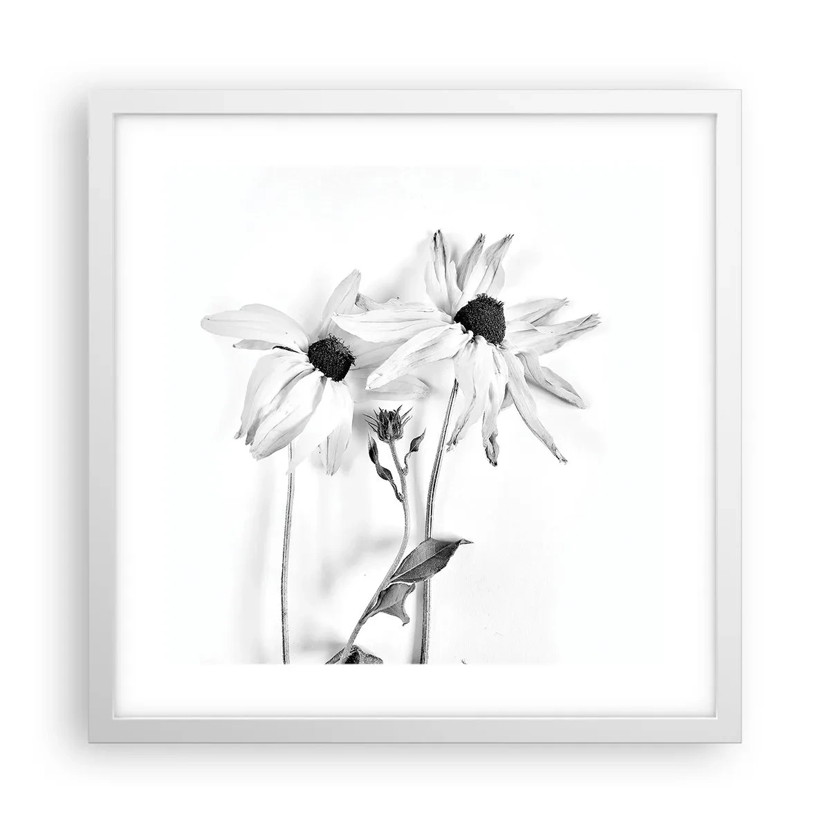 Poster in een witte lijst - Niemand wil alleen zijn - 40x40 cm