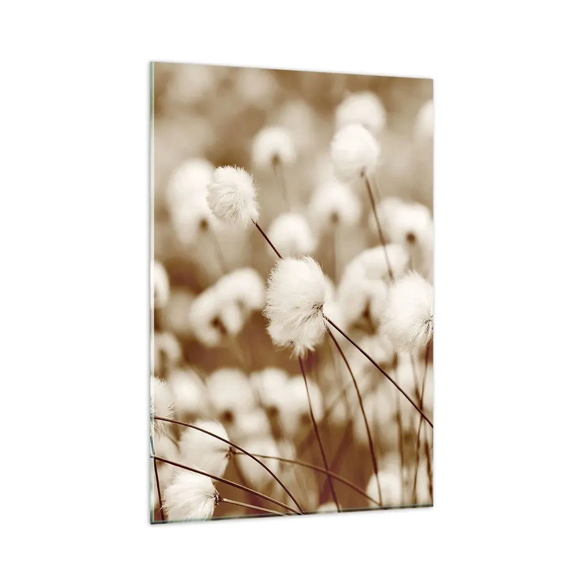 Schilderen op glas - Pluizig korenveld - 80x120 cm