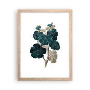 Een poster in een licht eiken lijst - Uit het oude herbarium - 30x40 cm