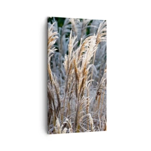 Schilderen op canvas - Gekleed met vorst - 45x80 cm