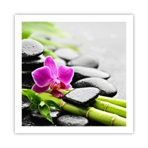 Poster - In een vrede evenwicht - 60x60 cm