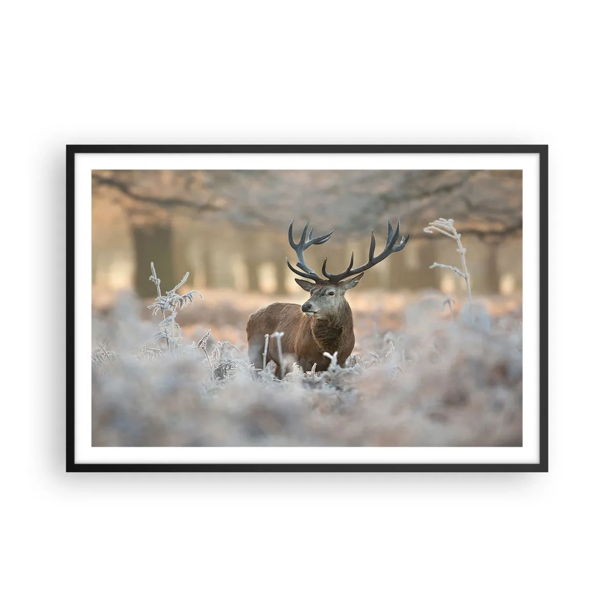 Poster in een zwarte lijst - Een frisse ochtend - 91x61 cm