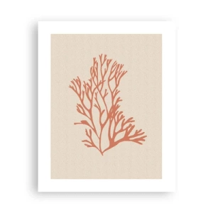 Poster - Koraal filigraan - 40x50 cm