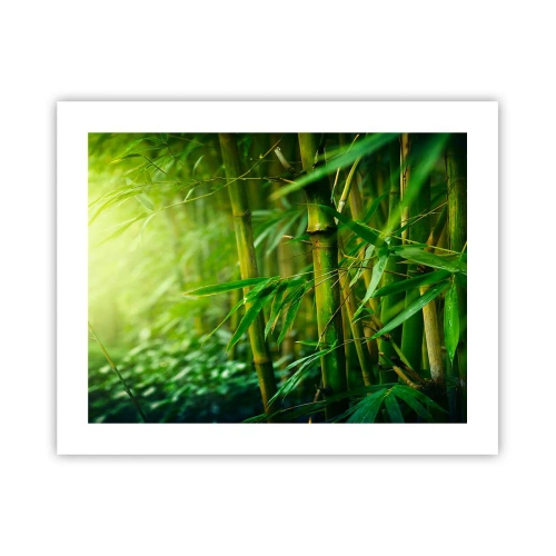 Poster - Maak kennis met groen zelf - 50x40 cm