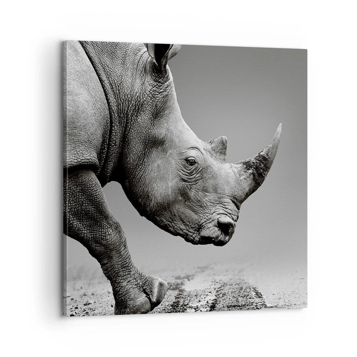 Schilderen op canvas - Onstuitbare kracht - 60x60 cm