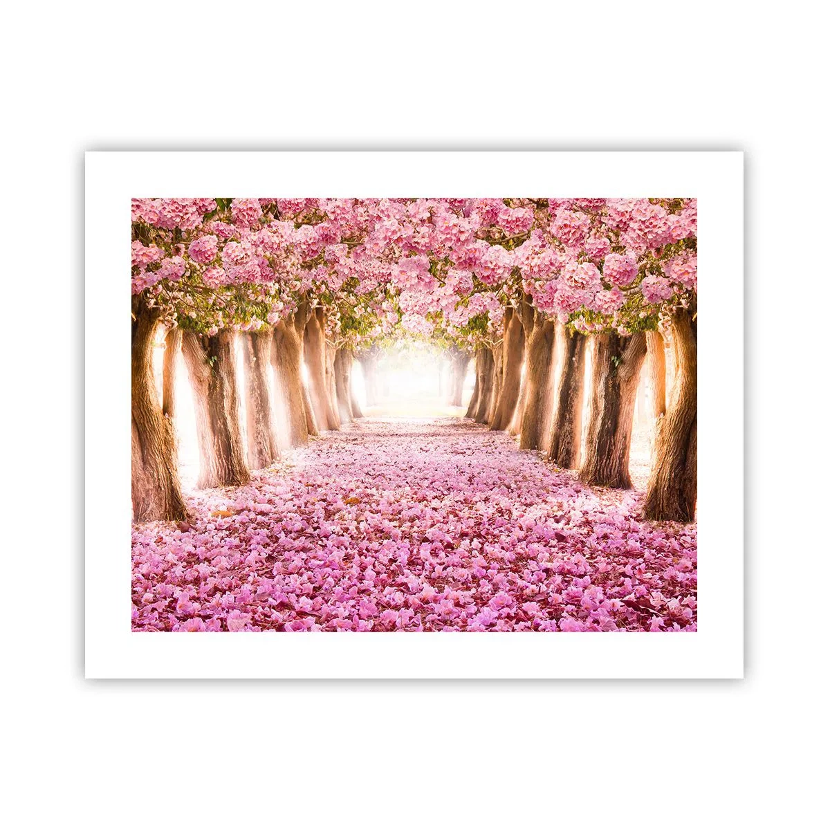 Poster - De weg naar het paradijs - 50x40 cm