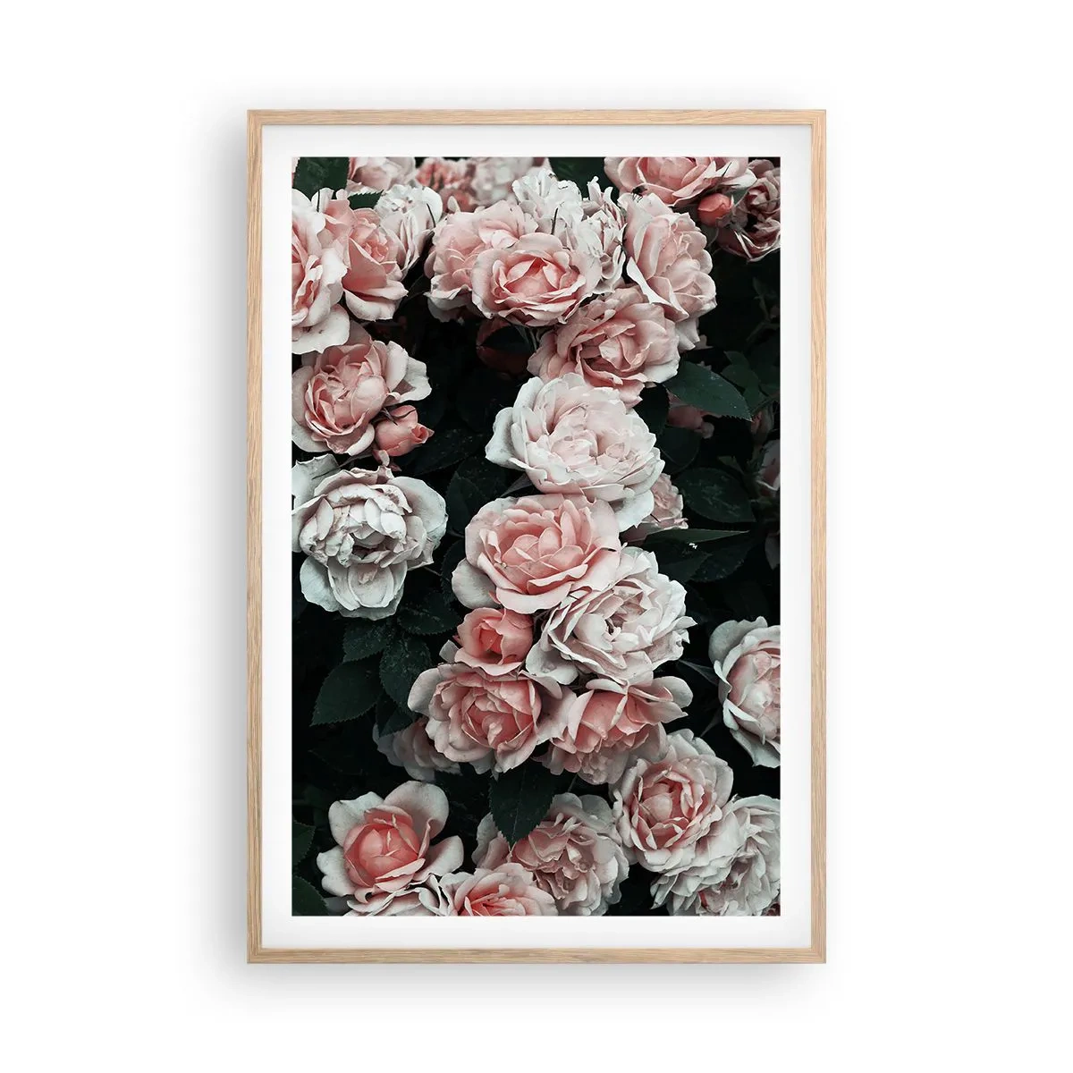 Een poster in een licht eiken lijst - Rozen ensemble - 61x91 cm
