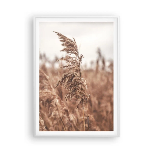 Poster in een witte lijst - Het is al herfst in de velden - 70x100 cm