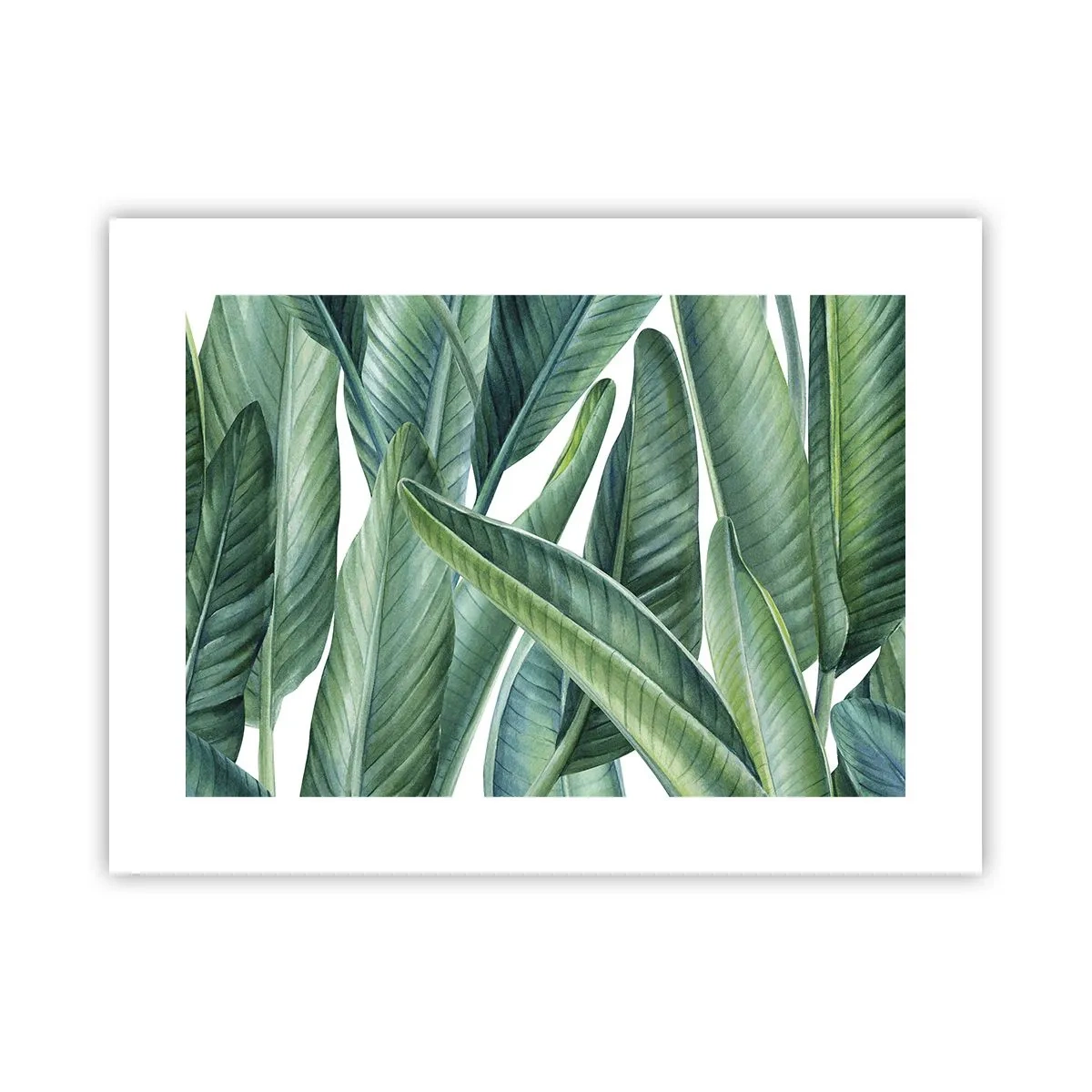 Poster - Groen zelf - 40x30 cm