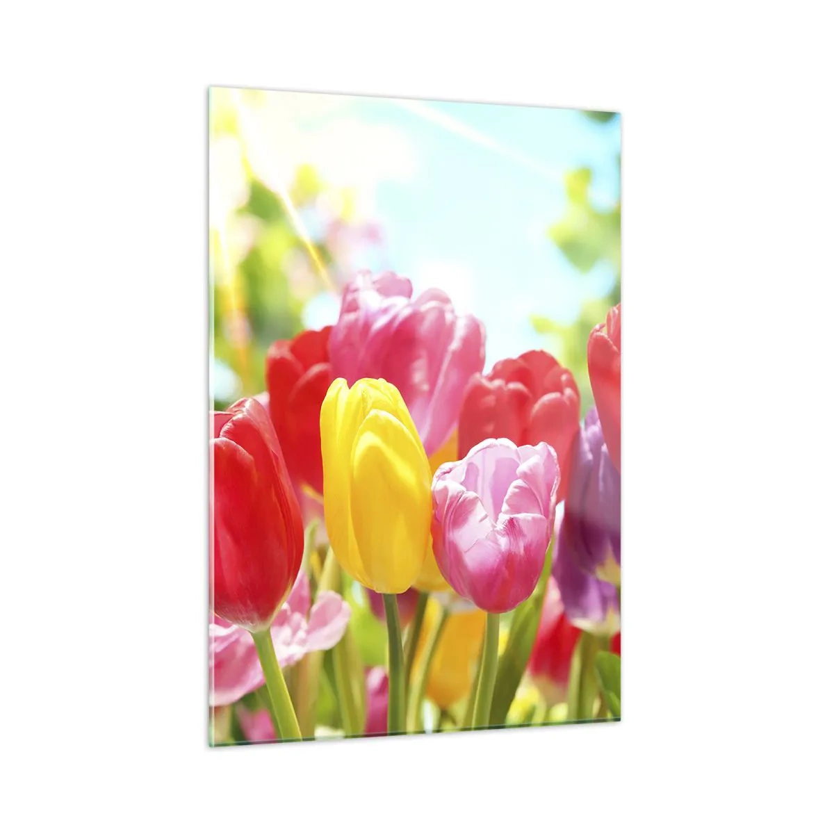 Schilderen op glas - Dat zijn wij, de kleuren van mei! - 50x70 cm
