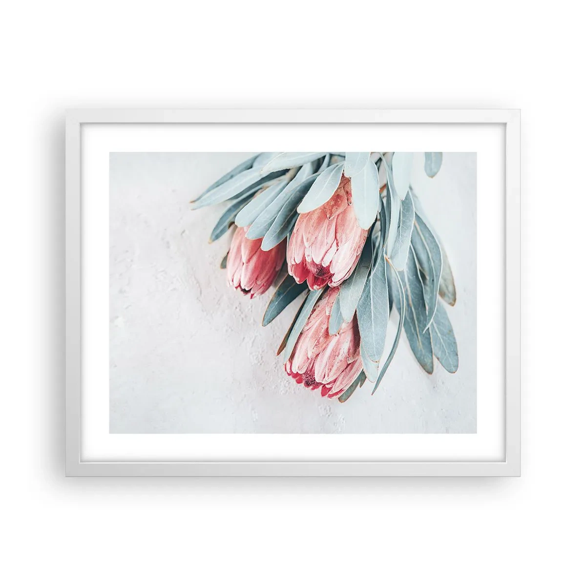 Poster in een witte lijst - Schaamt zich voor hun eigen schoonheid - 50x40 cm