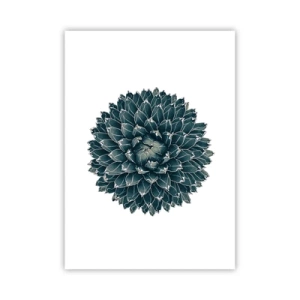 Poster - De ster van de woestijn - 50x70 cm