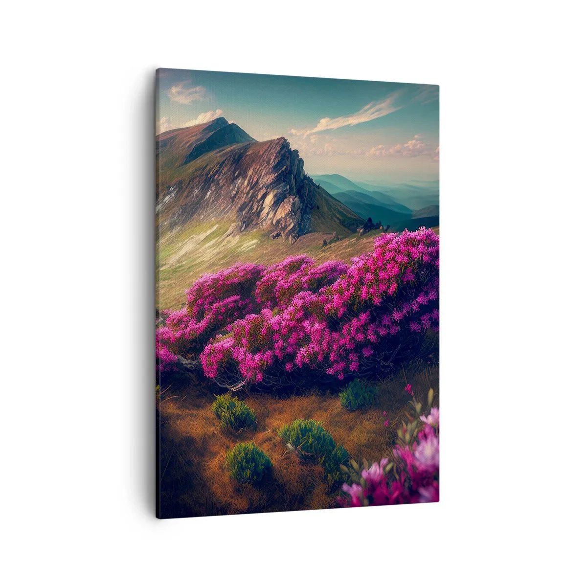 Schilderen op canvas - Zomer in de bergen - 50x70 cm