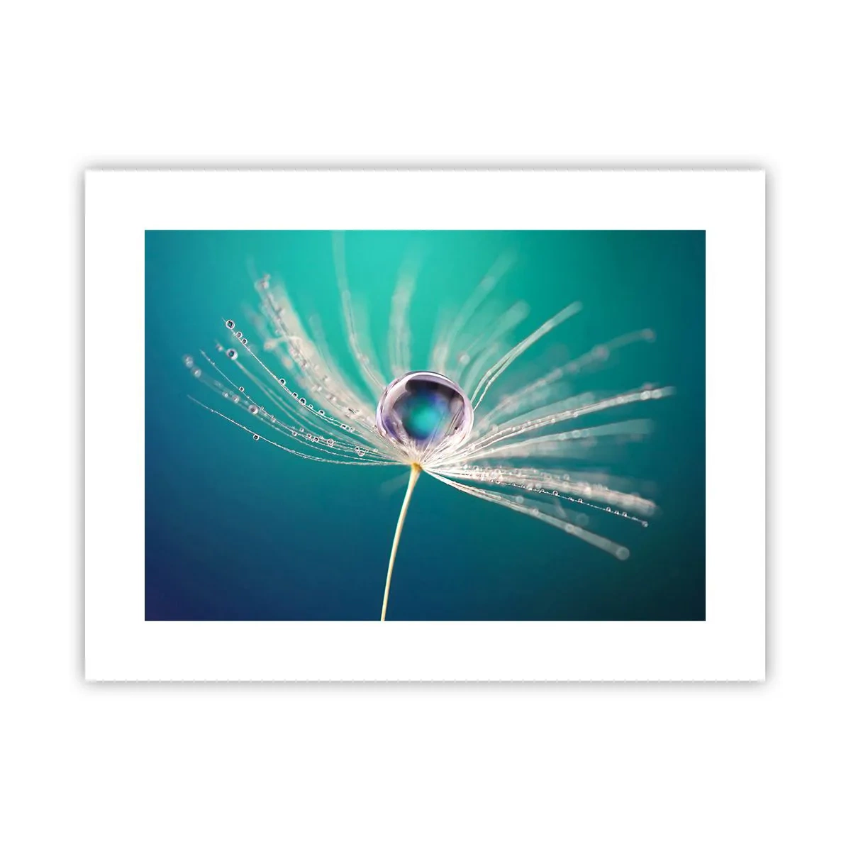 Poster - Mystiek moment - 40x30 cm