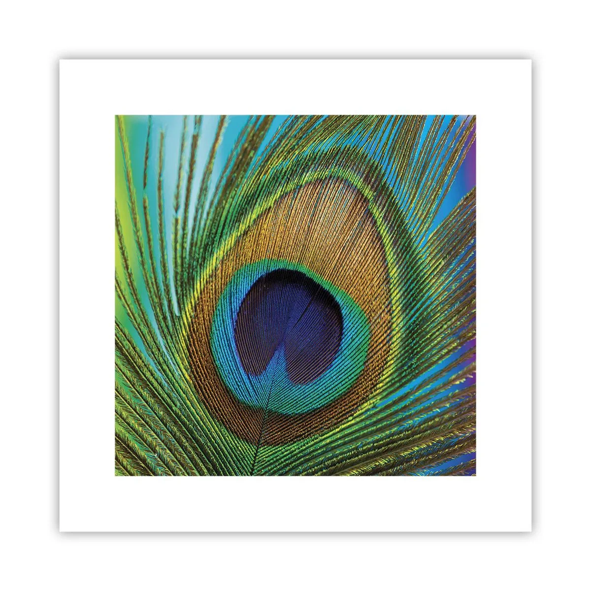 Poster - Oog in oog - 30x30 cm