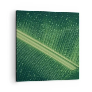 Schilderen op canvas - De structuur van groen - 50x50 cm