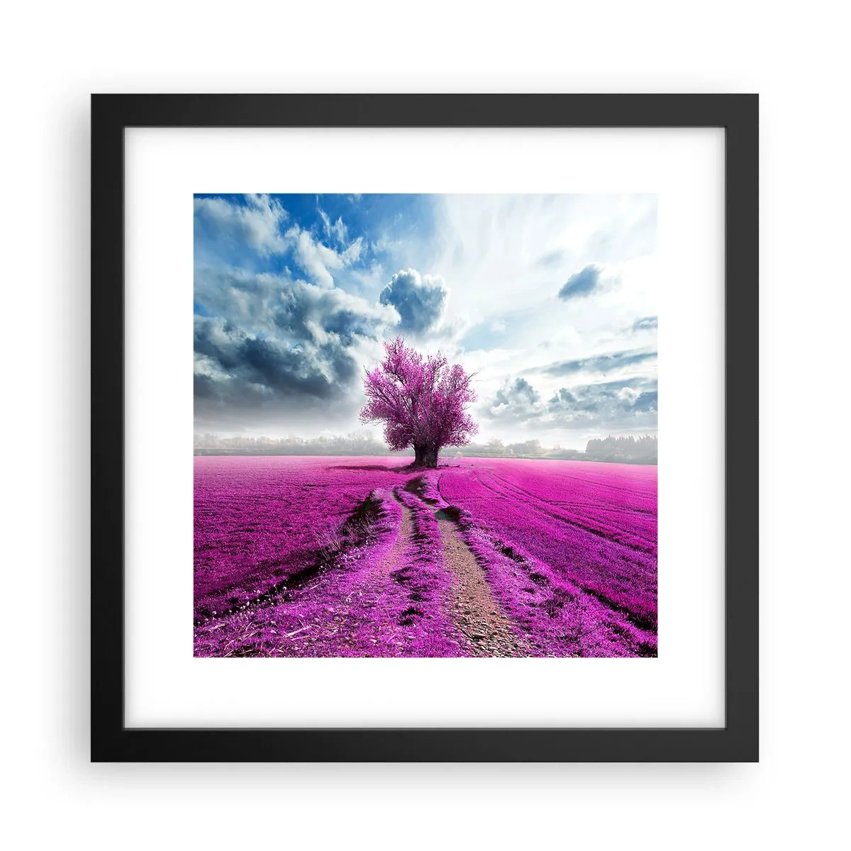 Poster in een zwarte lijst - Heide - heilige plek - 30x30 cm