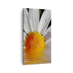 Schilderen op canvas - De rijzende zon van madeliefjes - 55x100 cm
