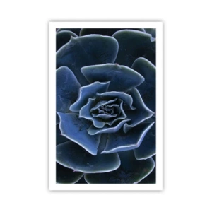 Poster - Woestijn bloem - 61x91 cm