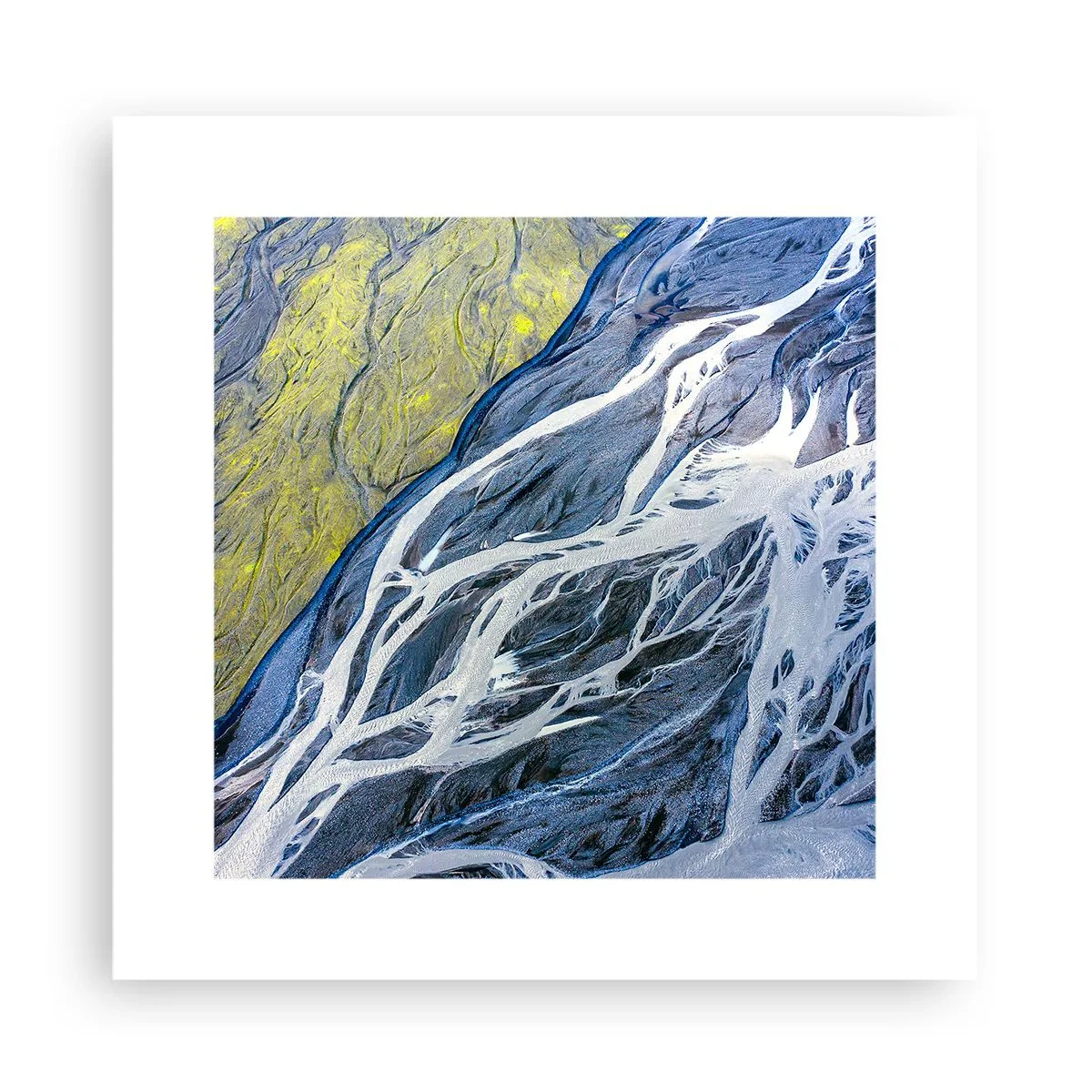 Poster - Rotstekeningen van de natuur - 30x30 cm