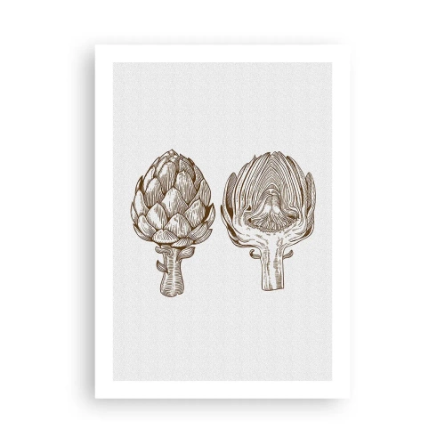 Poster - Anatomieles - 50x70 cm
