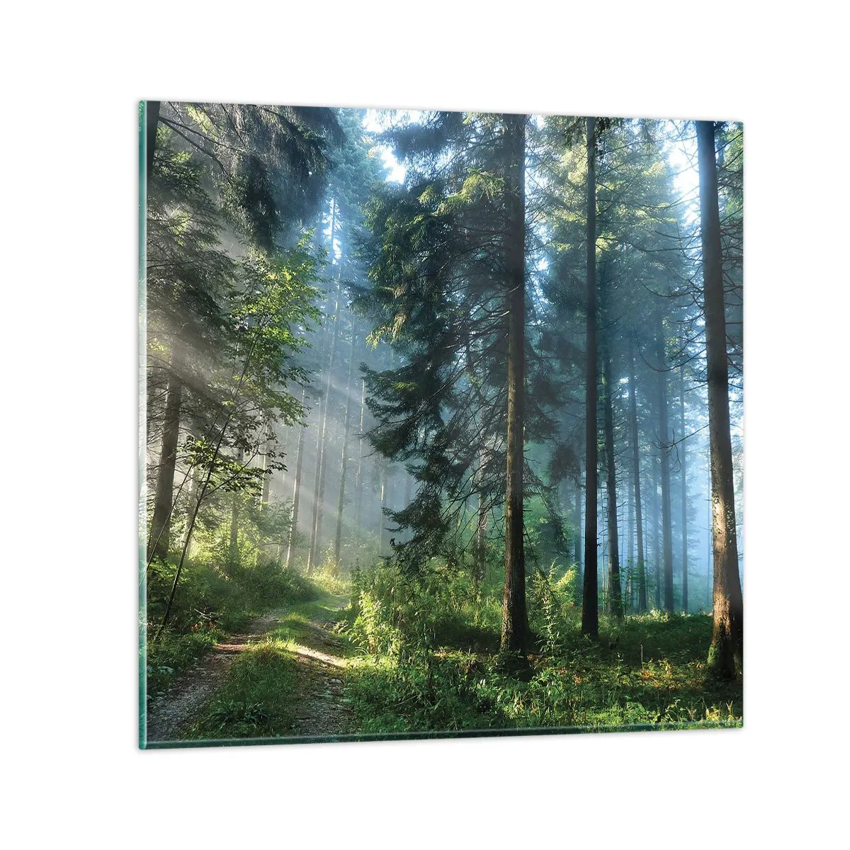 Schilderen op glas - Stralend in de ochtend - 70x70 cm