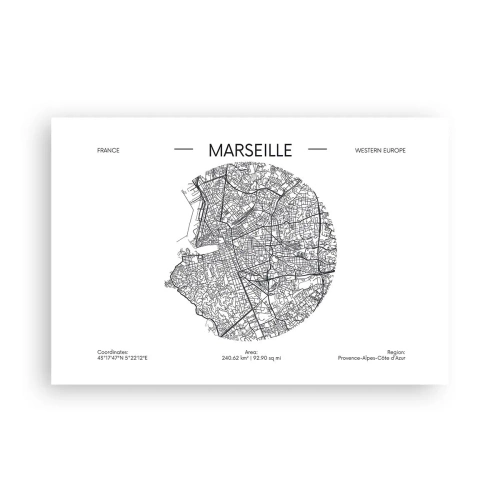 Poster - Anatomie van Marseille - 91x61 cm