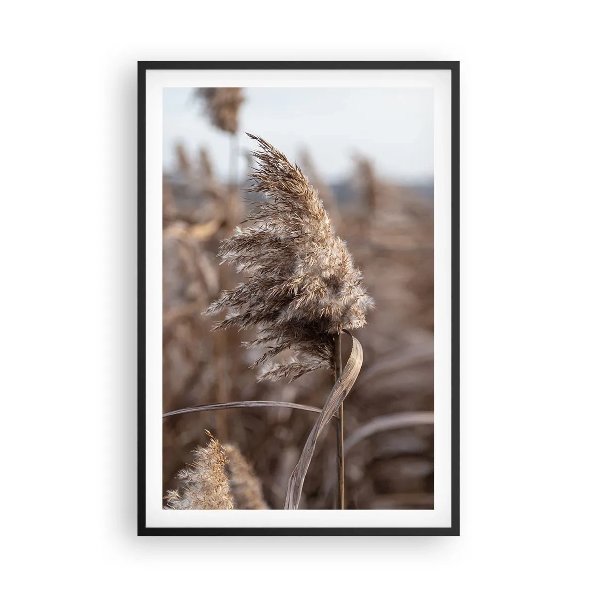 Poster in een zwarte lijst - Tijd om met de wind mee te gaan - 61x91 cm