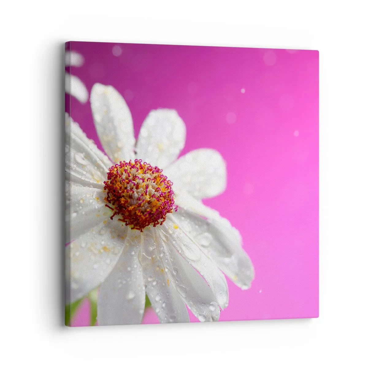 Schilderen op canvas - Bescheiden in zijn schoonheid - 30x30 cm