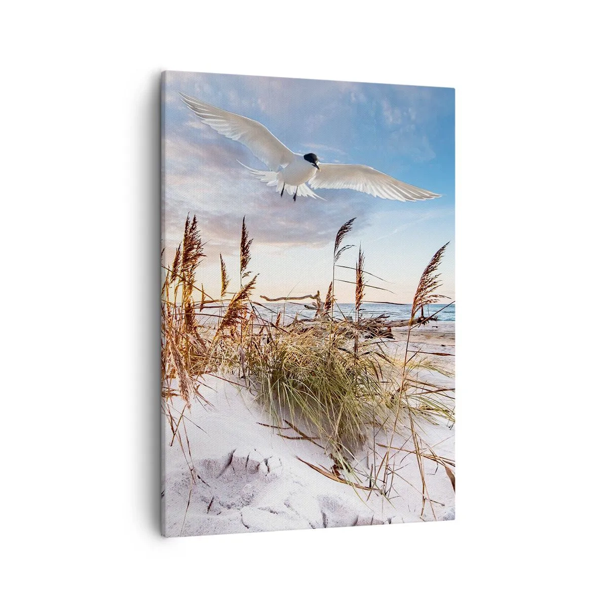 Schilderen op canvas - Wind uit zee - 50x70 cm