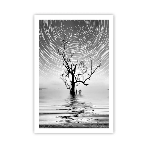 Poster - Een symfonie van de natuur - 61x91 cm