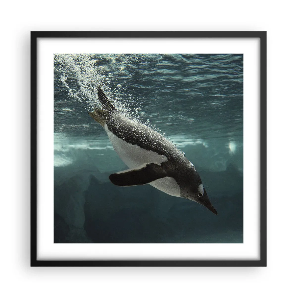 Poster in een zwarte lijst - Welkom in mijn wereld - 50x50 cm