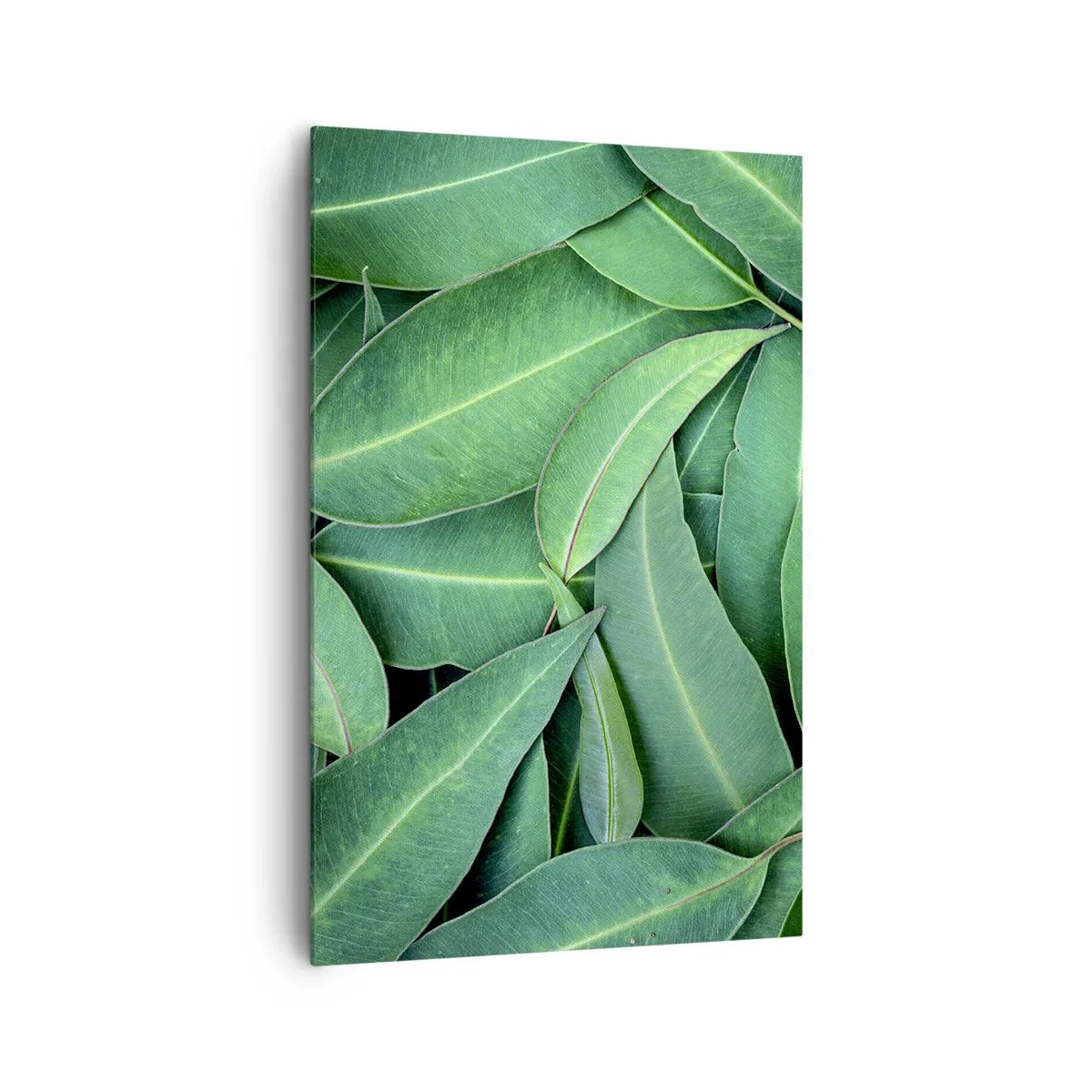 Schilderen op canvas - Sappig en fris - 80x120 cm