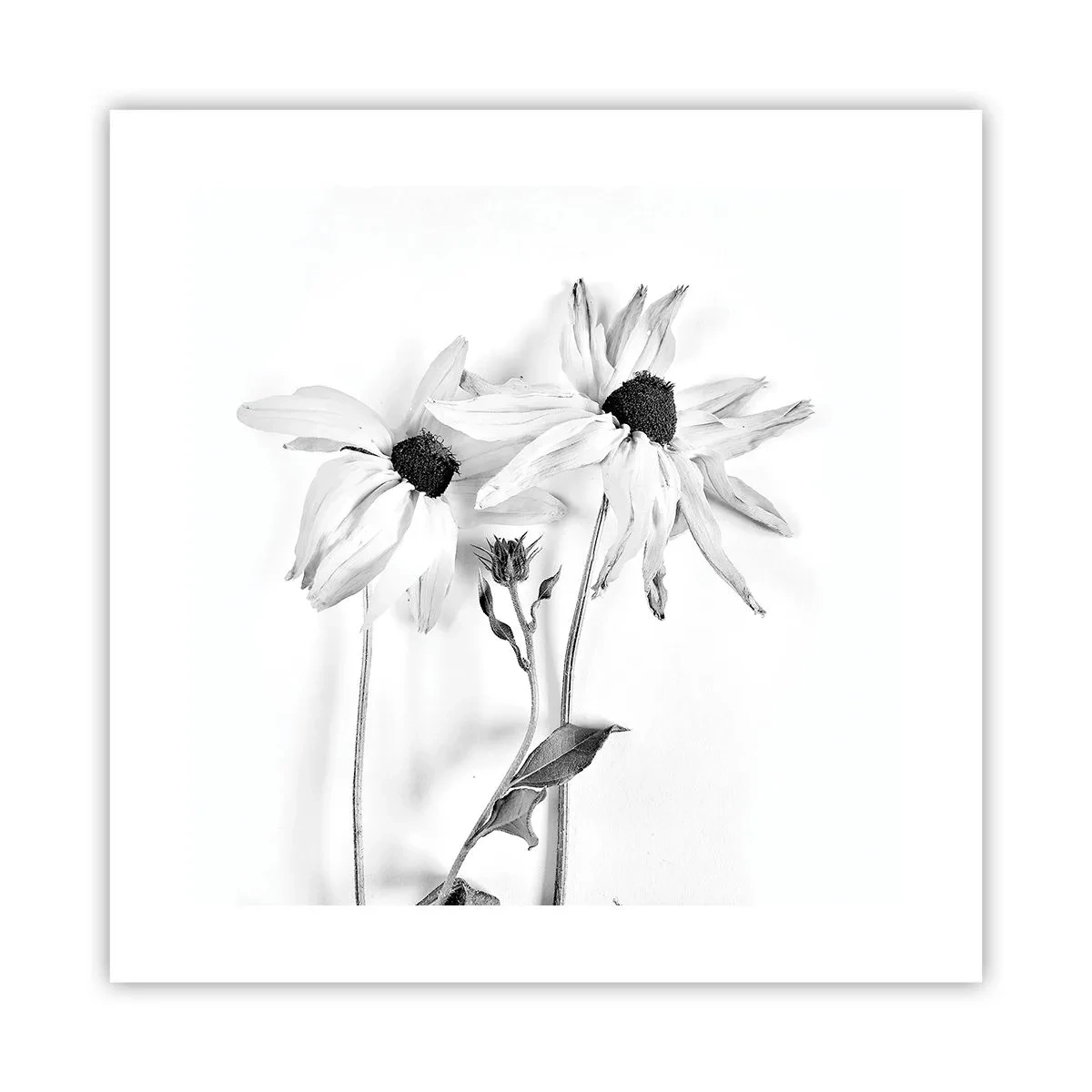 Poster - Niemand wil alleen zijn - 40x40 cm