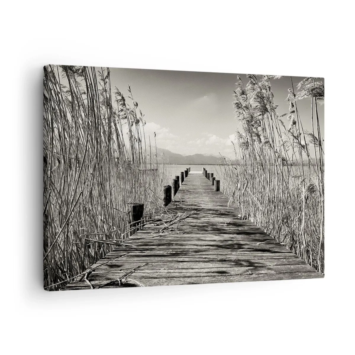 Schilderen op canvas - Een houten steiger tussen hoog gras boven een sepiakleurig meer - 70x50cm - In de stilte van het gras - Moderne wanddecoratie voor woonkamer en slaapkamer ARTTOR