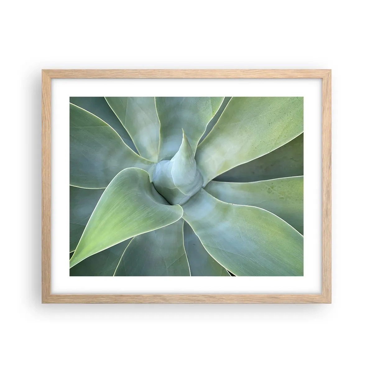 Een poster in een licht eiken lijst - De geboorte van groen - 50x40 cm