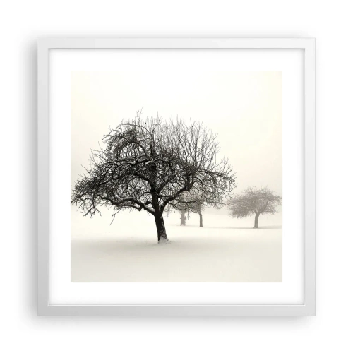Poster in een witte lijst - Winterslaap - 40x40 cm