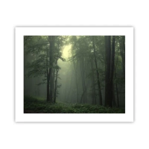 Poster - Voordat hij wakker wordt - 50x40 cm