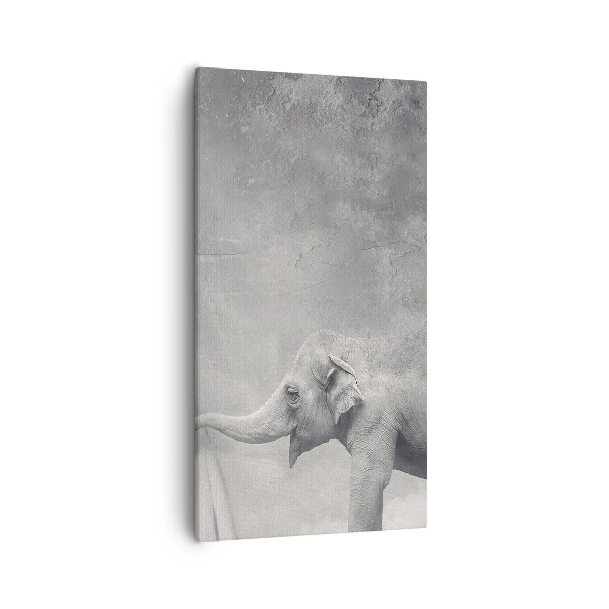 Schilderen op canvas - Onthul het mysterie - 55x100 cm