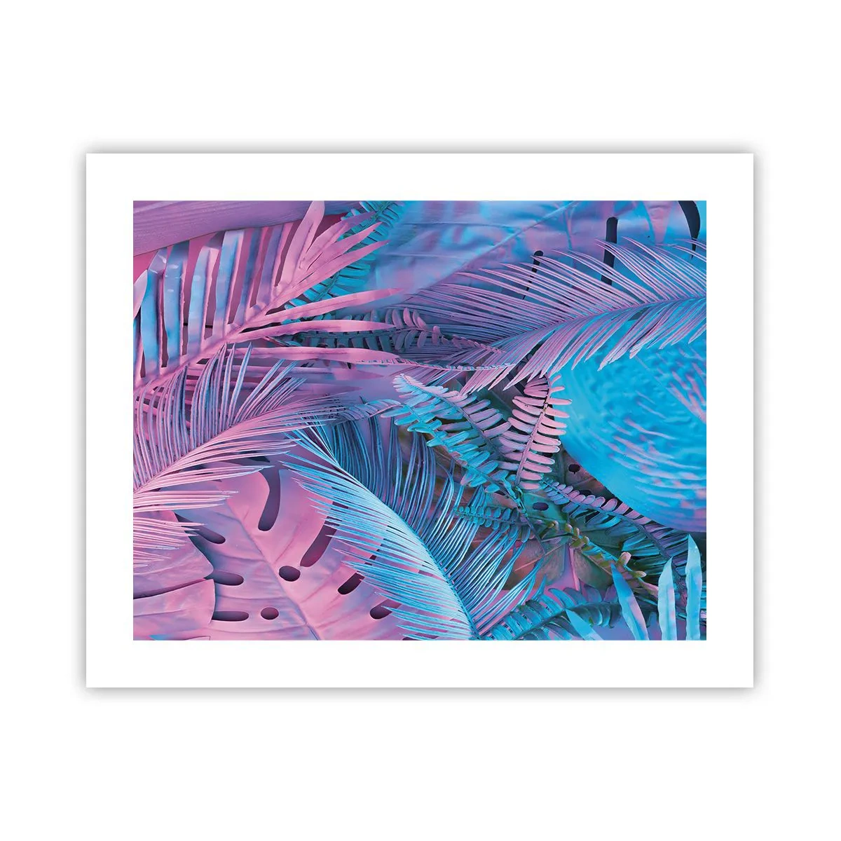 Poster - Tropen in roze en blauw - 50x40 cm