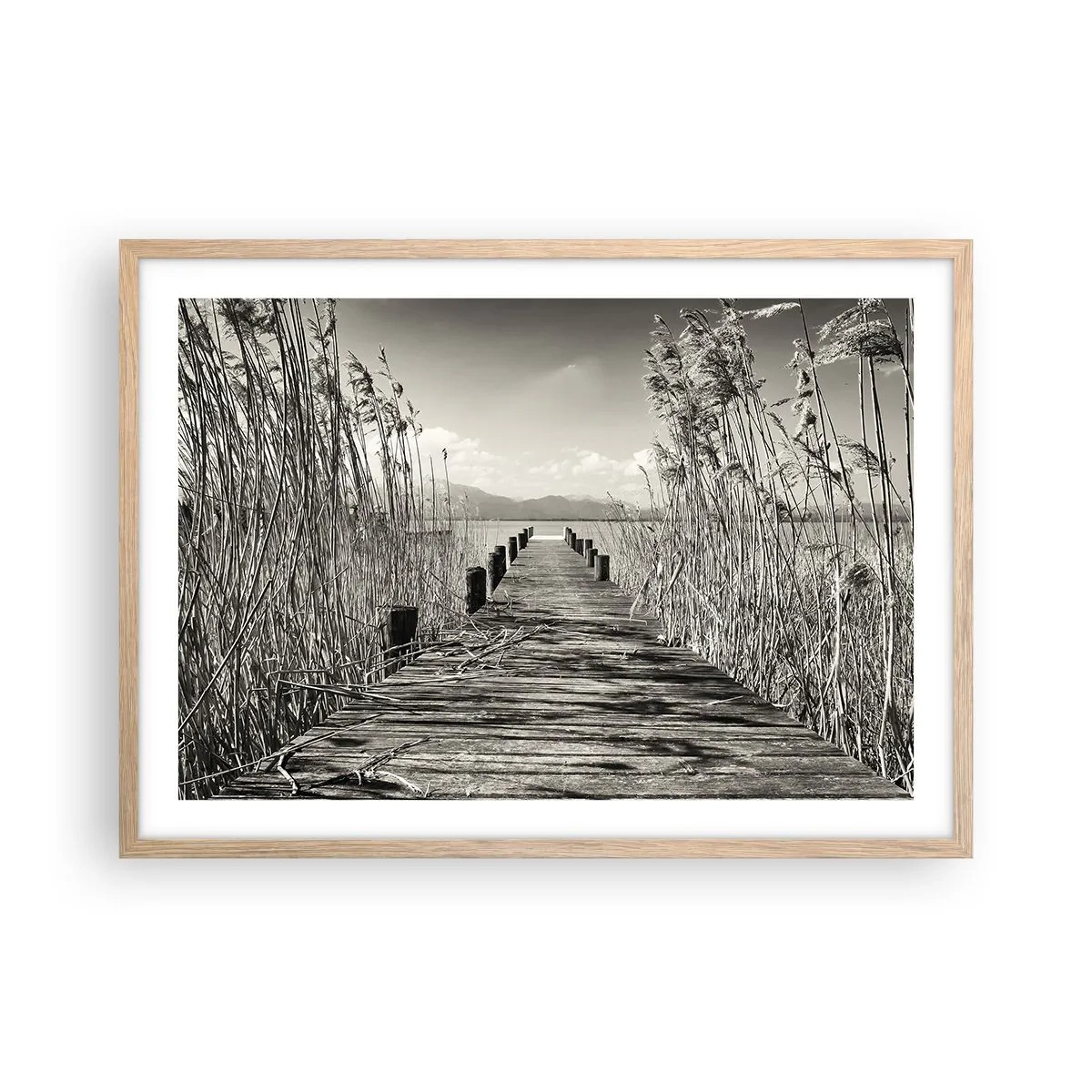 Een poster in een licht eiken lijst - In de stilte van het gras - 70x50 cm