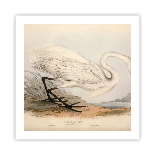 Poster - Dame op de biezen - 50x50 cm