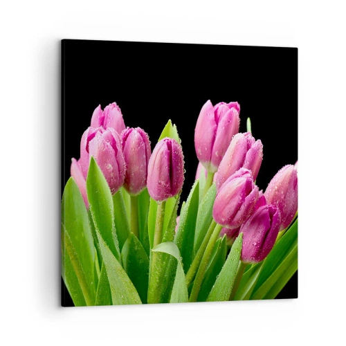 Schilderen op canvas - Lila vreugde van de lente - 50x50 cm