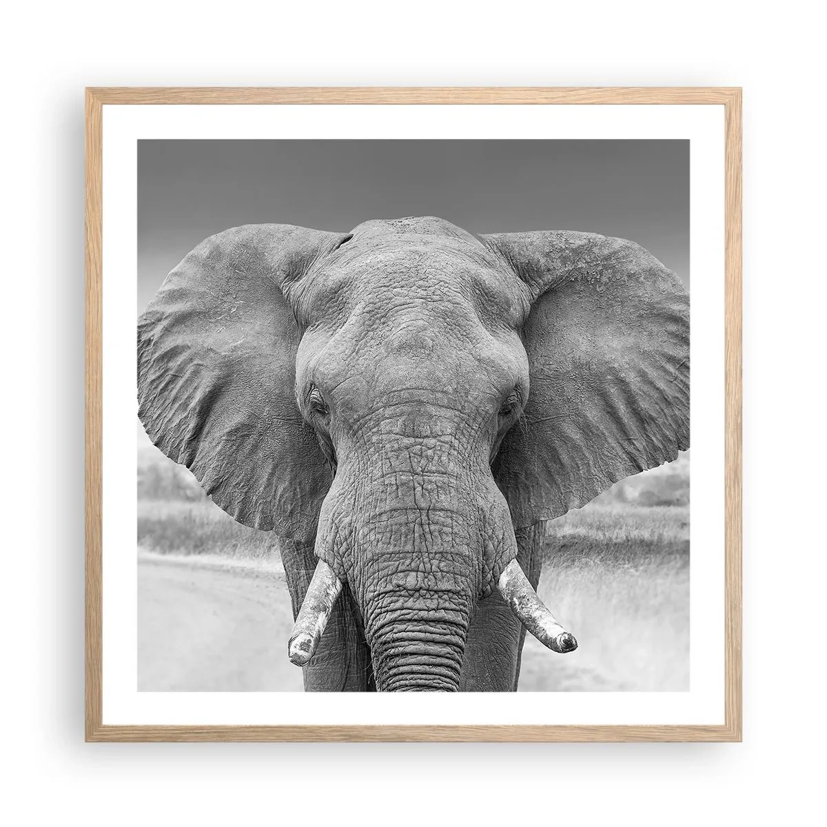 Een poster in een licht eiken lijst - Welkom in mijn wereld - 60x60 cm