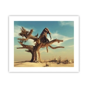 Poster - Een nieuw gezichtspunt - 50x40 cm