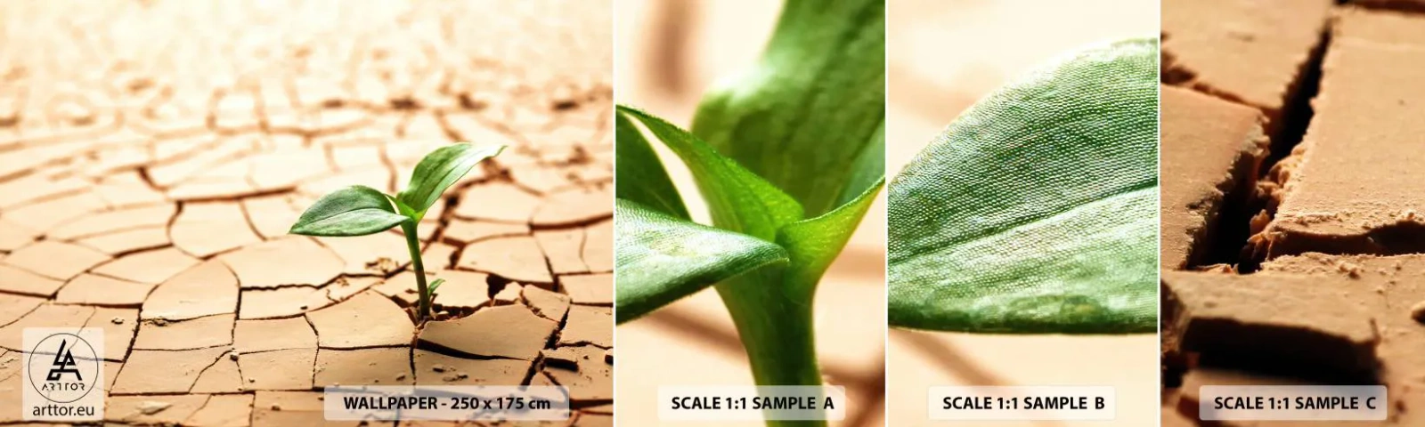 Fotobehang Staaltje Standard Eco - De ontembare kracht van het leven - Natuur, Plant, Droogte - 100x30 cm